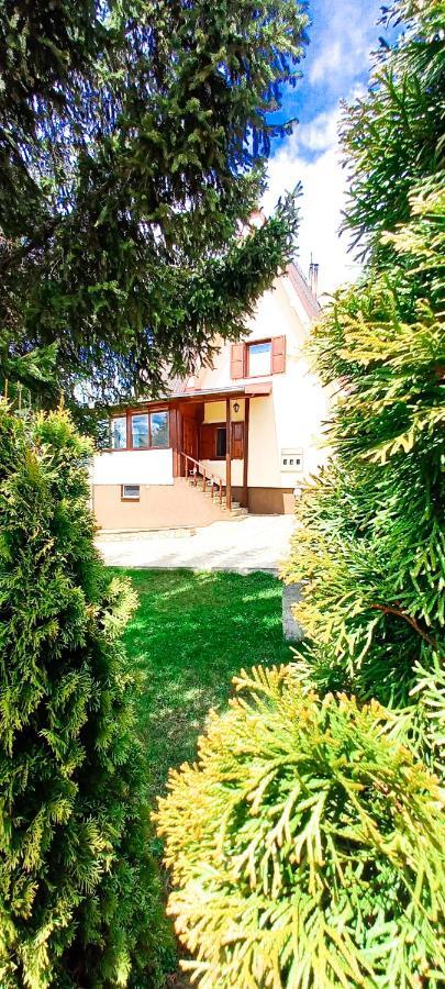 Apartment Relja 즐라티보 외부 사진